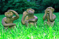 Die drei Affen "Sehen, Hören, Sprechen" by aidao