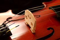 Geige by aidao