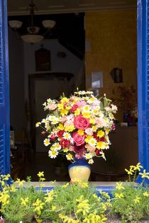 Colourful flower display by Steve Outram
