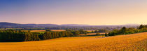 Summer Evening View Over English Farmland by Craig Joiner