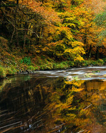Autumn at the River Teign, Dartmoor von Craig Joiner