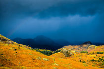 Rainstorm over Langdale Pikes by Craig Joiner