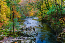River Esk, Lake District by Craig Joiner