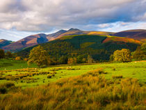 Skiddaw, Lake District National Park by Craig Joiner