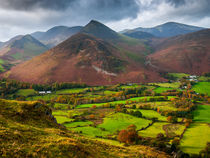 Newlands Valley, Cumbria von Craig Joiner