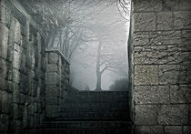 A foggy stairway by Leopold Brix