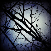 Winter Moon von Sybille Sterk