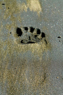 Footprint by Gitta Wick
