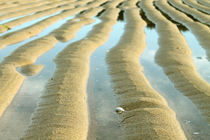 Sandy-Wave-Reflection von Gitta Wick