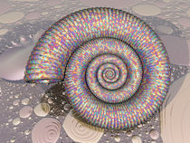 Irisierender Ammonit von Frank Siegling