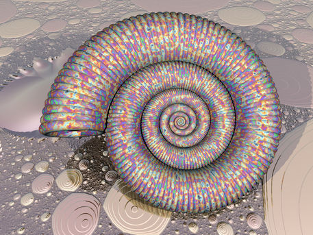 Ammonite-irid-floor