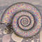 'Irisierender Ammonit' by Frank Siegling