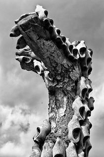 The Tree of Wooden Clogs von soulshots