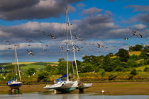 Beached boats on the River Avon, Devon by Louise Heusinkveld