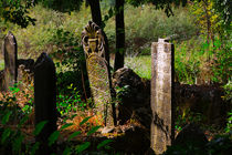 Turkish Cemetery by Louise Heusinkveld