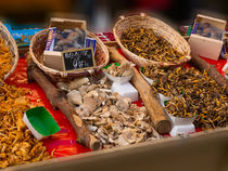 Wild Mushrooms for Sale by Louise Heusinkveld