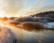 Winter morning by Mikael Svensson
