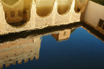 Alhambra Pool von Mary Lane