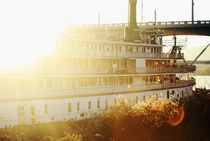 Delta Queen at Sunset 2 by Melanie Mayne