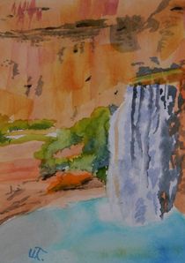Havasu Falls Arizona von Warren Thompson