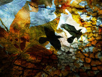 Autumns Crow by Robert Ball