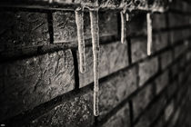 The icy drop  by Nicole Frischlich