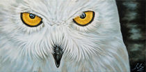 Schnee-Eule - Snow Owl von Nicole Zeug