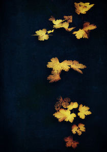 Velvet Leaves by Sybille Sterk