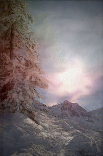 Snowy Land by Marie Luise Strohmenger