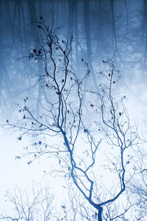 The Abstract Tree von Daniel Zrno