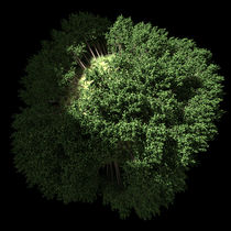 GREEN PLANET- GRÜNE PLANET - 3D-ART - ERDE - Fisheye-Effekt von Anil Kohli