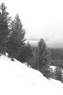 Sierras In Winter von Frank Wilson