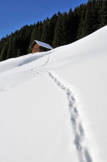 Spuren im Schnee - Kleinwalsertal von Matthias Hauser