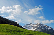 Wiese, Berge und blauer Himmel - Frühjahr in den Alpen by Matthias Hauser