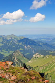 Blick vom Berg Hoher Ifen, Allgäuer Alpen, Österreich von Matthias Hauser