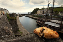 Pasty on the Harbour by Rob Hawkins