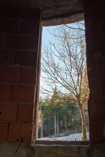 Through the window by Raymond Zoller