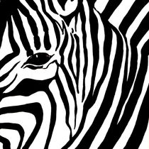 Zebra 1 von 3 von Lidija Kämpf