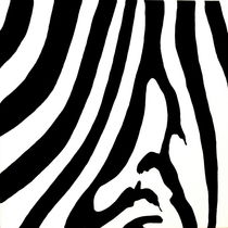 Zebra 2 von 3 von Lidija Kämpf