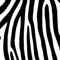 Zebra 3 von 3 von Lidija Kämpf