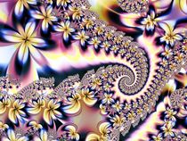 Spiralblüten by claudiag