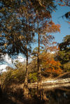 December-afternoon-on-the-suwannee