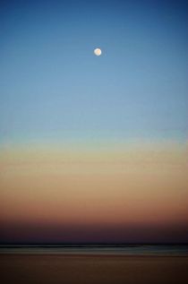 Sunset Moonrise von Judy Hall-Folde