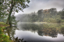 Autumn Mist by David Tinsley