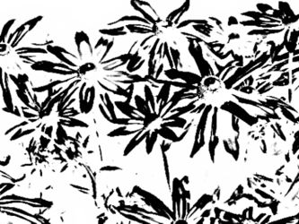Black-and-white-flowers