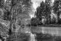 Soudley Ponds by David Tinsley