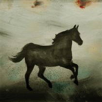 Horse by Antonio Rodrigues Jr