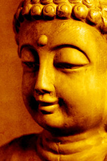 Buddha von Falko Follert
