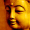 Buddha-portrait