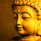 Buddha-portrait-2